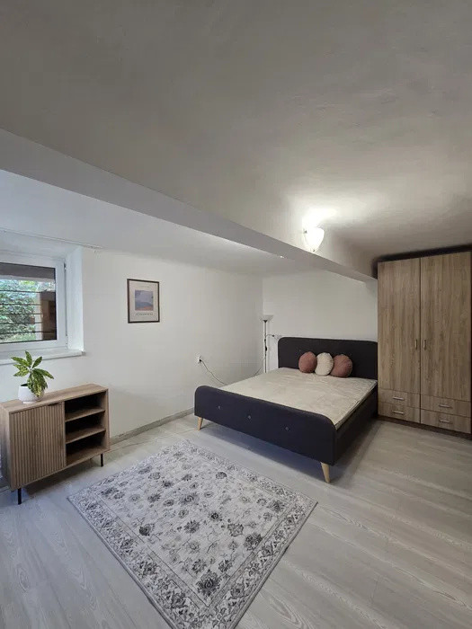 Apartament 1 camera Andrei Muresanu