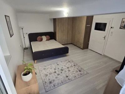 Apartament 1 camera Andrei Muresanu