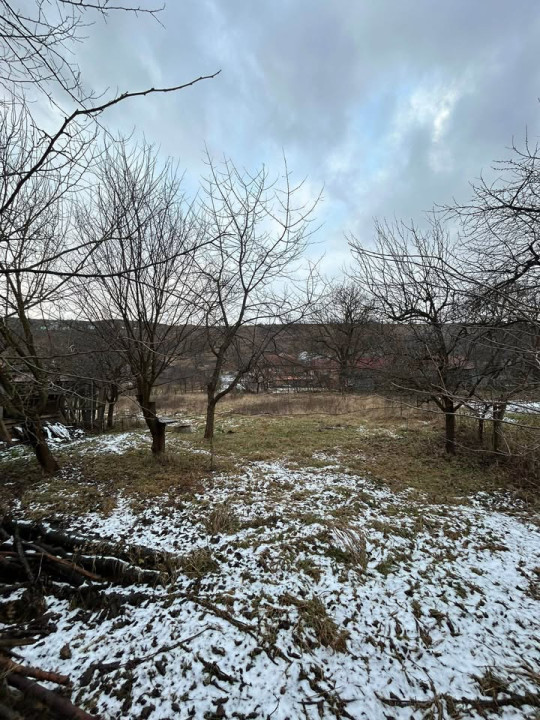 Casa veche in Suceagu cu teren 1715 mp2