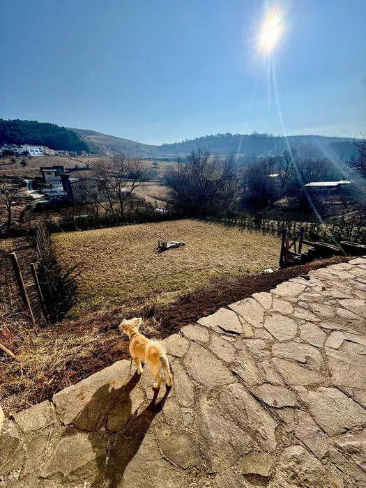 Casa de vanzare , 200 mp utili , zona Tautiului