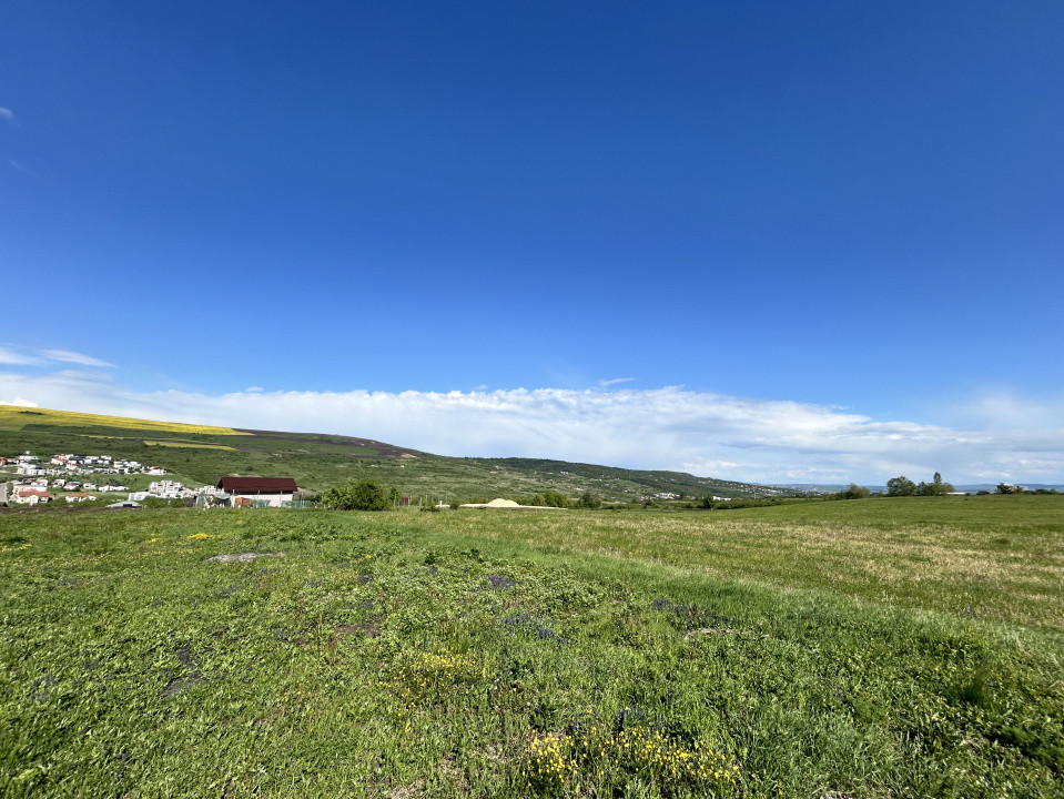 Teren de vanzare Valea Chintaului 1300mp front 24ml