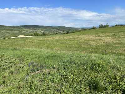 Teren de vanzare Valea Chintaului 1300mp front 24ml