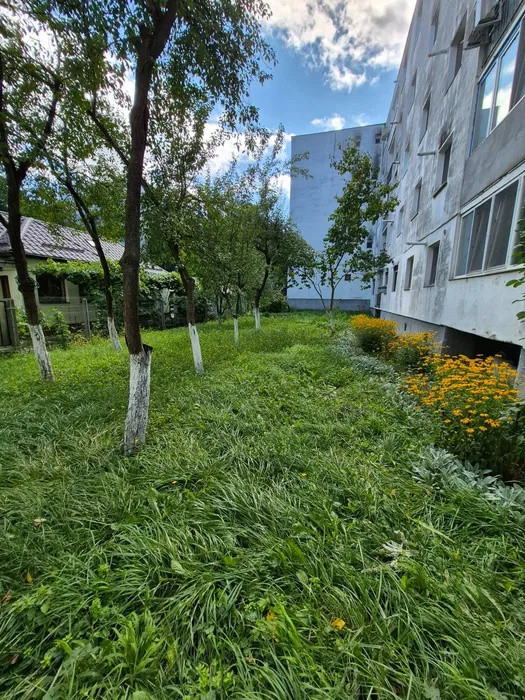 Apartament 3 camere, 61 mp, recent renovat, balcon, zona Grigore Alexandrescu