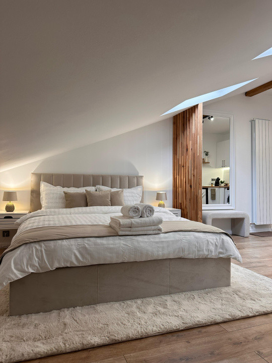 Apartament Lux, open space, zona Centrala