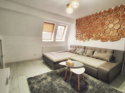 Apartament modern cu 2 camere in zona Somesului