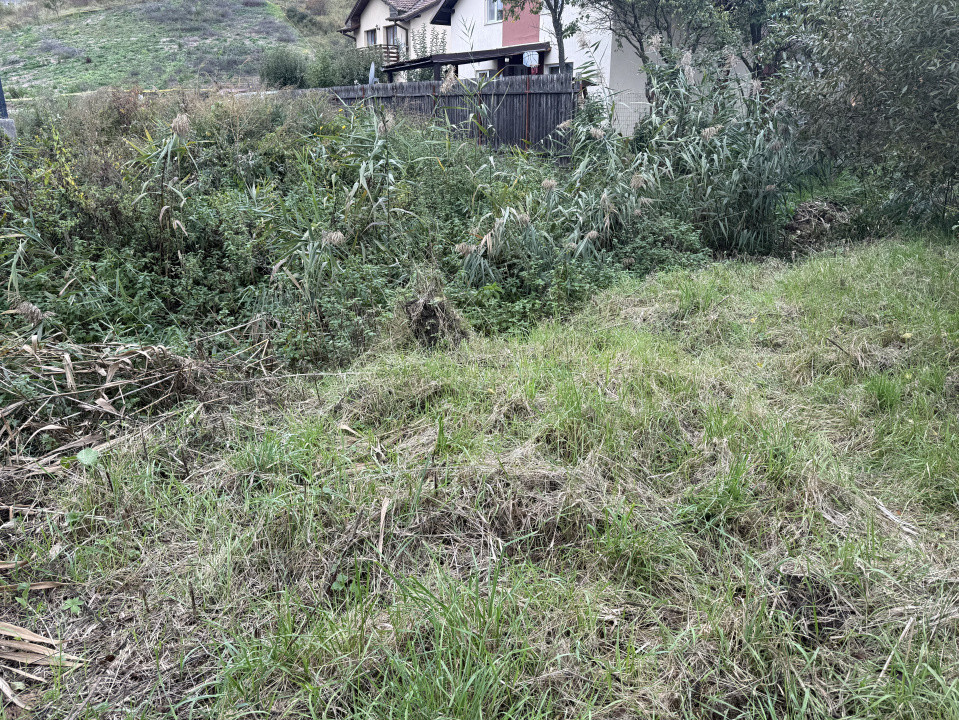 Teren intravilan 890mp în Chinteni – zonă centrală, strada principală