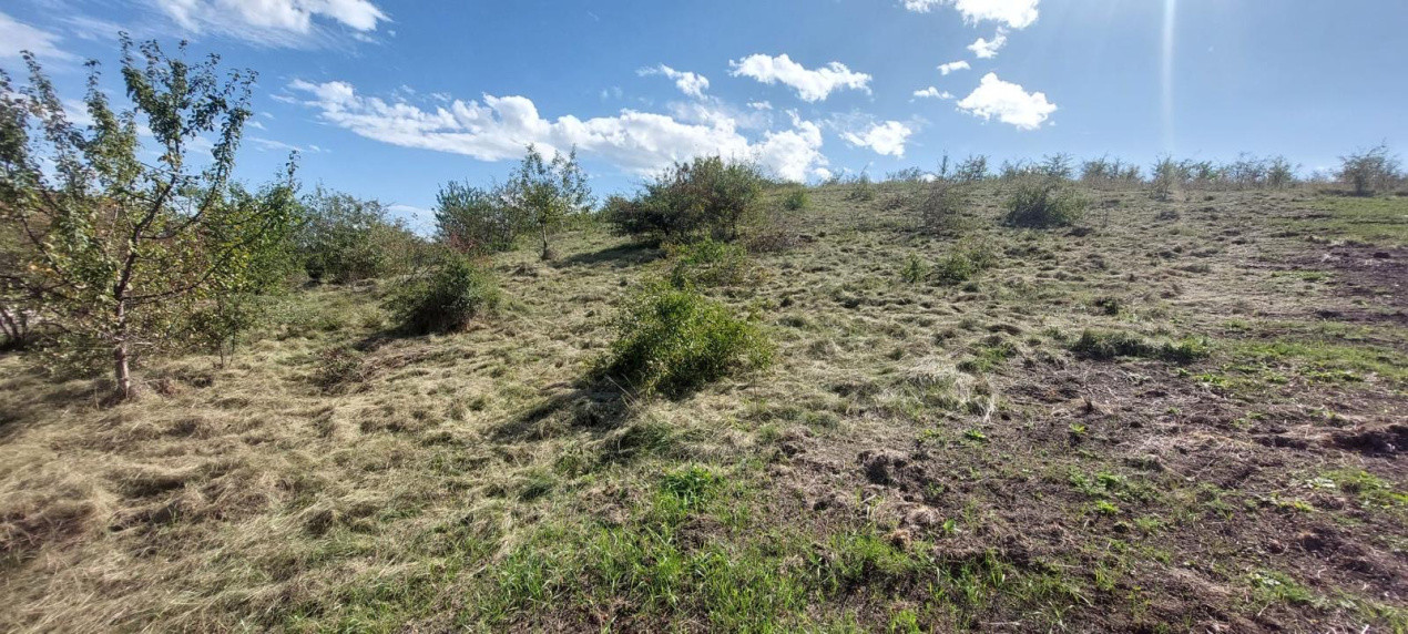 Teren intravilan 1214mp în Chinteni – zonă centrală, strada Ion Creanga!