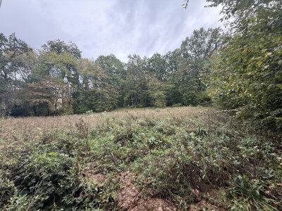 Teren intravilan 1610 mp în Făget – Strada Antonin Ciolan, lângă pădure