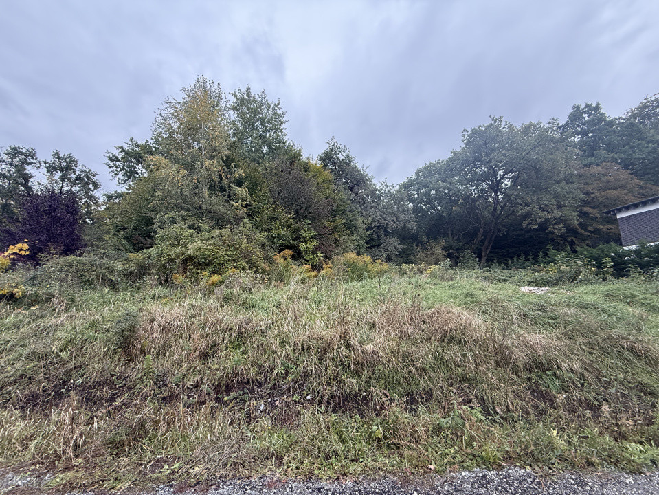 Teren intravilan 1000 mp în Făget – Strada Antonin Ciolan, lângă pădure