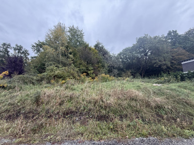 Teren intravilan 1000 mp în Făget – Strada Antonin Ciolan, lângă pădure