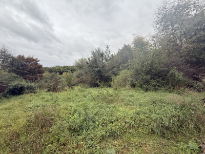 Teren intravilan 2000 mp în Făget – Strada Antonin Ciolan, lângă pădure