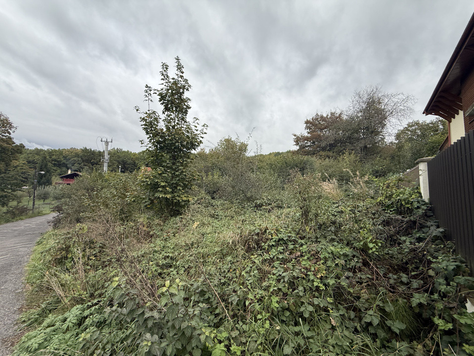 Teren intravilan 1000 mp în Făget – Strada Antonin Ciolan, lângă pădure