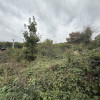 Teren intravilan 1000 mp în Făget – Strada Antonin Ciolan, lângă pădure