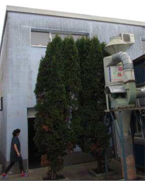 Cladire 200 mp, zona Baciu