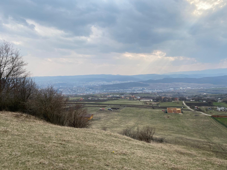 Teren 2019 mp + drum 307 mp, Dambul Rotund, str. Lombului, langa padure!