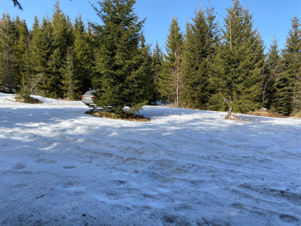 Teren 5000 mp in Baisoara, langa pensiunea Skiland si cabana Merlin!