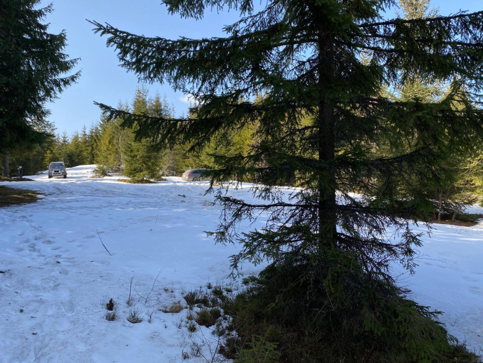 Teren 5000 mp in Baisoara, langa pensiunea Skiland si cabana Merlin!