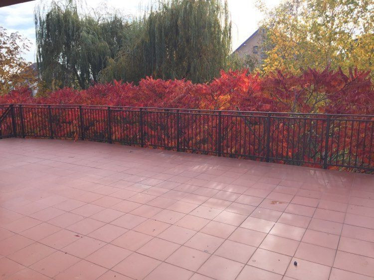 Imobil versatil cu multiple posibilități de utilizare,550mp,Zona Buna Ziua