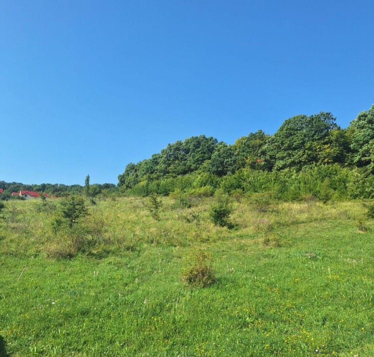 Teren in Chinteni langa padure 1425mp front 70ml