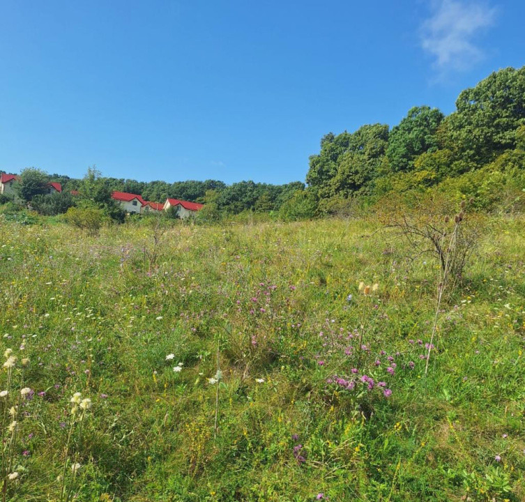 Teren in Chinteni langa padure 1425mp front 70ml