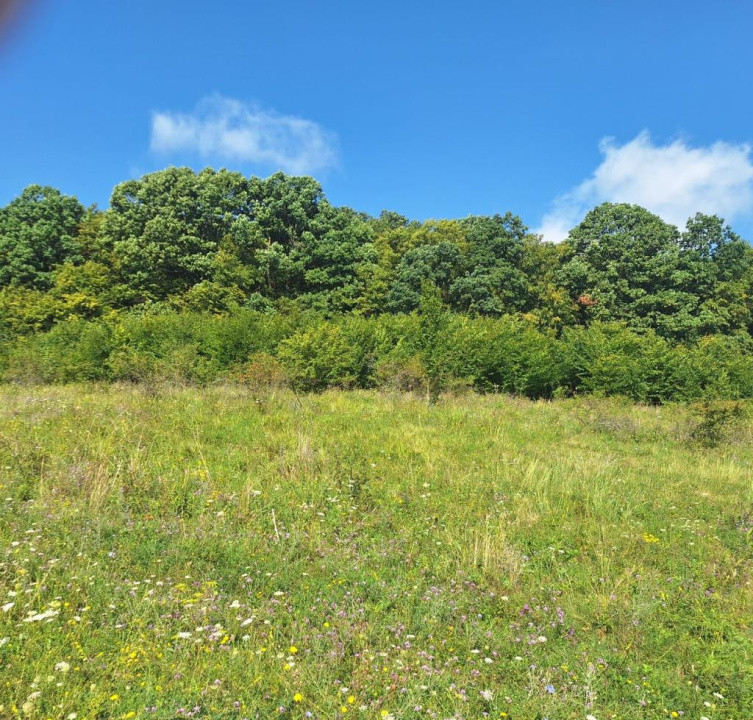 Teren in Chinteni langa padure 1425mp front 70ml