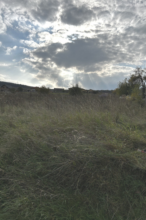 Teren intravilan Chinteni  3.449 mp doua fronturi 14/16 ml 