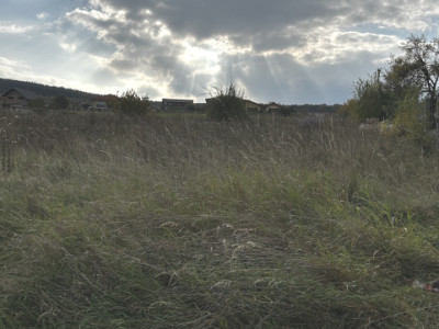 Teren intravilan Chinteni  3.449 mp doua fronturi 14/16 ml 