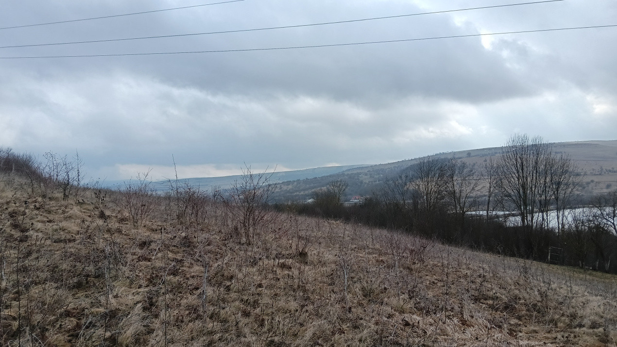 Teren Intravilan de vanzare Martinesti