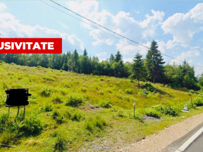 Teren de vanzare , 2.000 mp la strada , Calatele