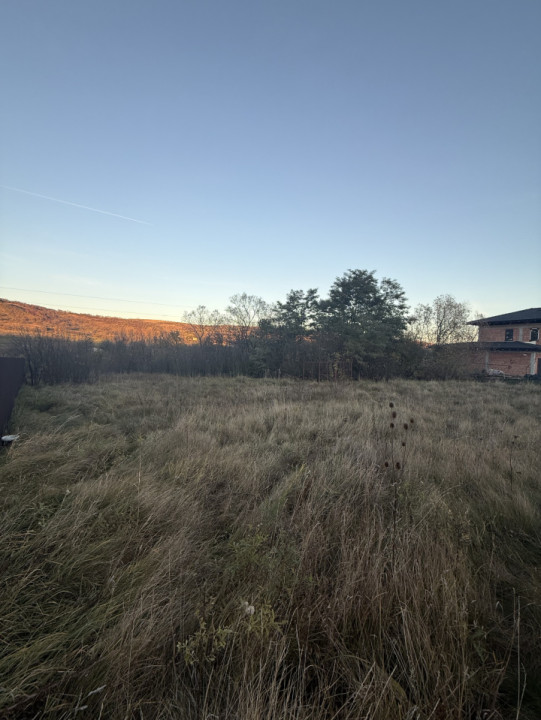 Teren intravilan 1500 mp – Chinteni, str. Decebal, utilități, drum acces 30 m