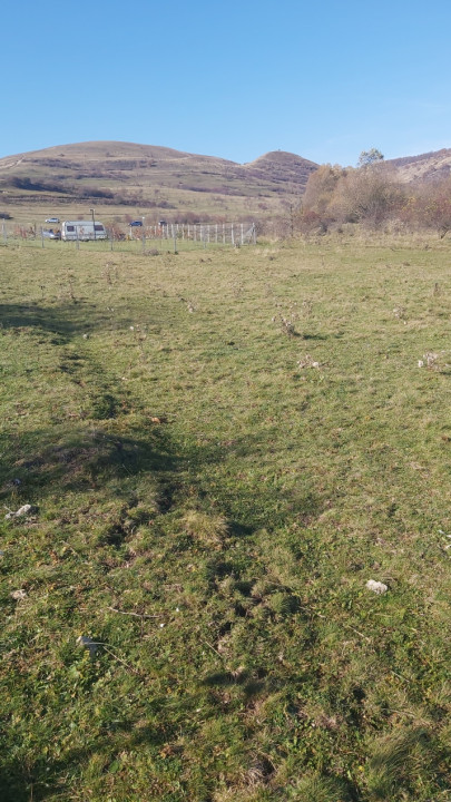 Teren extravilan de vanzare Floresti