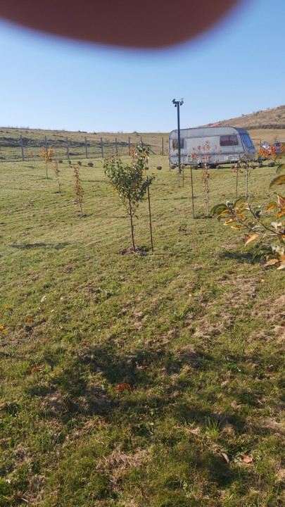 Teren extravilan 1000mp Centura nord