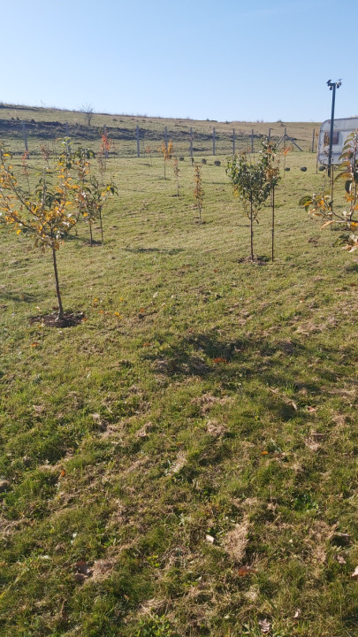 Teren extravilan 1000mp Centura nord