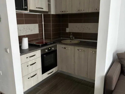 Apartament cu 2 camere, PET friendly si parcare, zona Iris