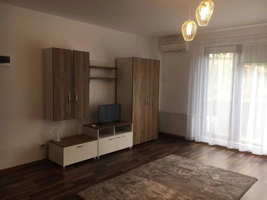 Apartament cu o camera de inchiriat in Dambul Rotund 