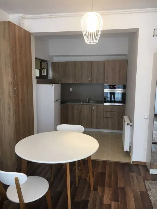 Apartament cu o camera de inchiriat in Dambul Rotund 