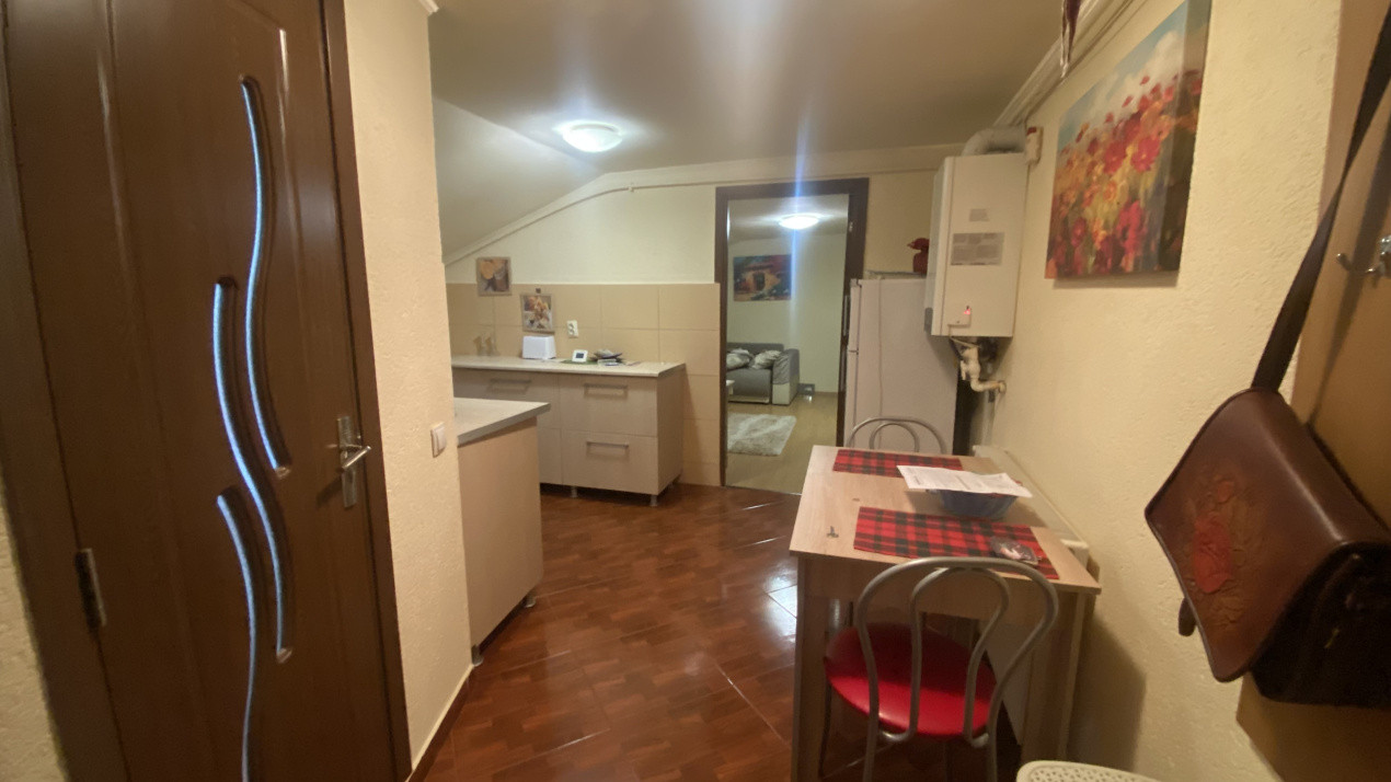 Apartament 1 cameră în vilă, 33 mp, curte privată, zona Parcul Armătura