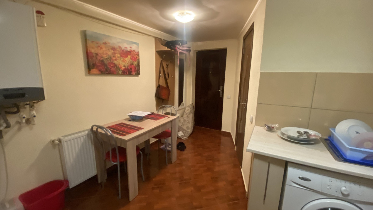 Apartament 1 cameră în vilă, 33 mp, curte privată, zona Parcul Armătura