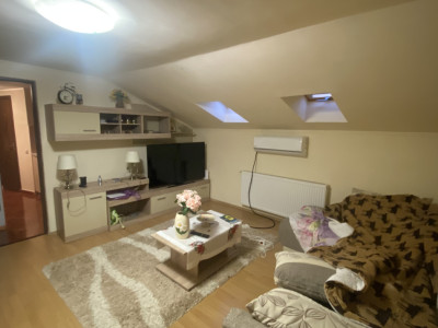 Apartament 1 cameră în vilă, 33 mp, curte privată, zona Parcul Armătura