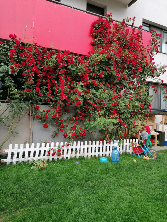 Apartament cu 3 camere, 67 mp, gradina, parcare, zona Tineretului