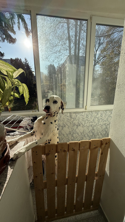 Apartament cu 3 camere, de 65mp zona Complex Diana/Gheorgheni