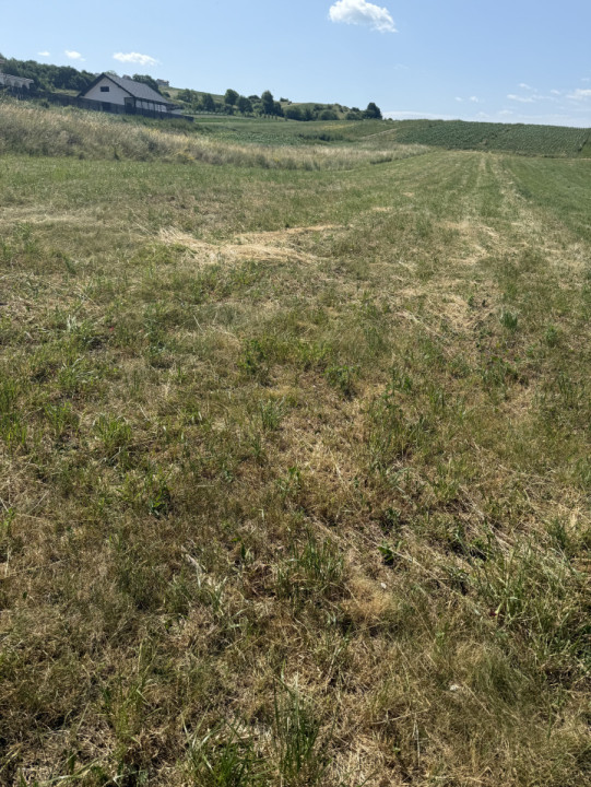 INVESTITIE! Teren intravilan Popesti - 1400mp!