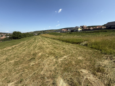 INVESTITIE! Teren intravilan Popesti - 1400mp!