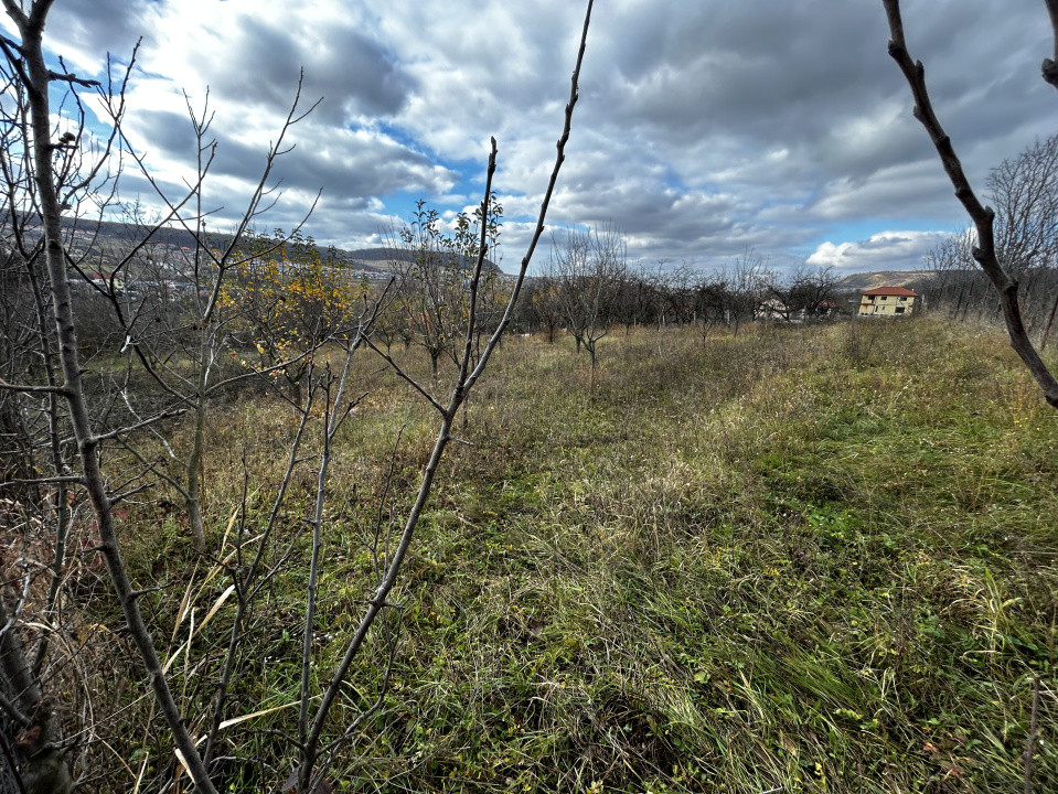 Teren intravilan în Chinteni 1.250mp pentru case sau Duplex 