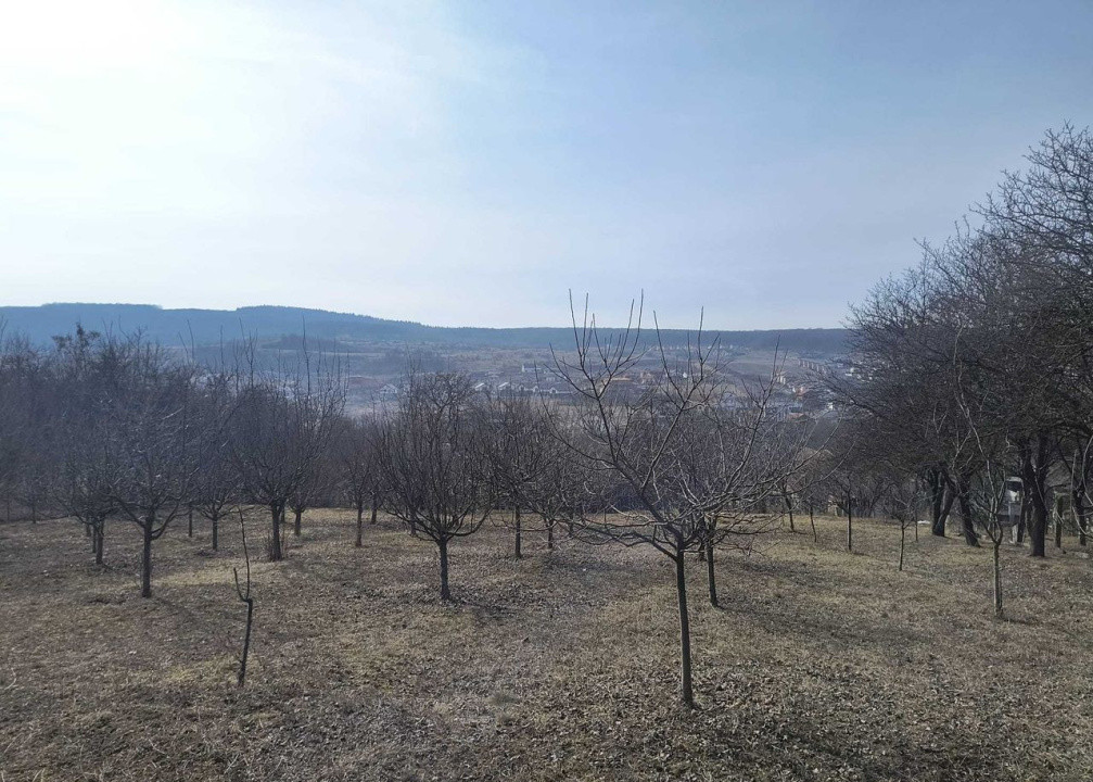 Teren intravilan în Chinteni 1.250mp pentru case sau Duplex 