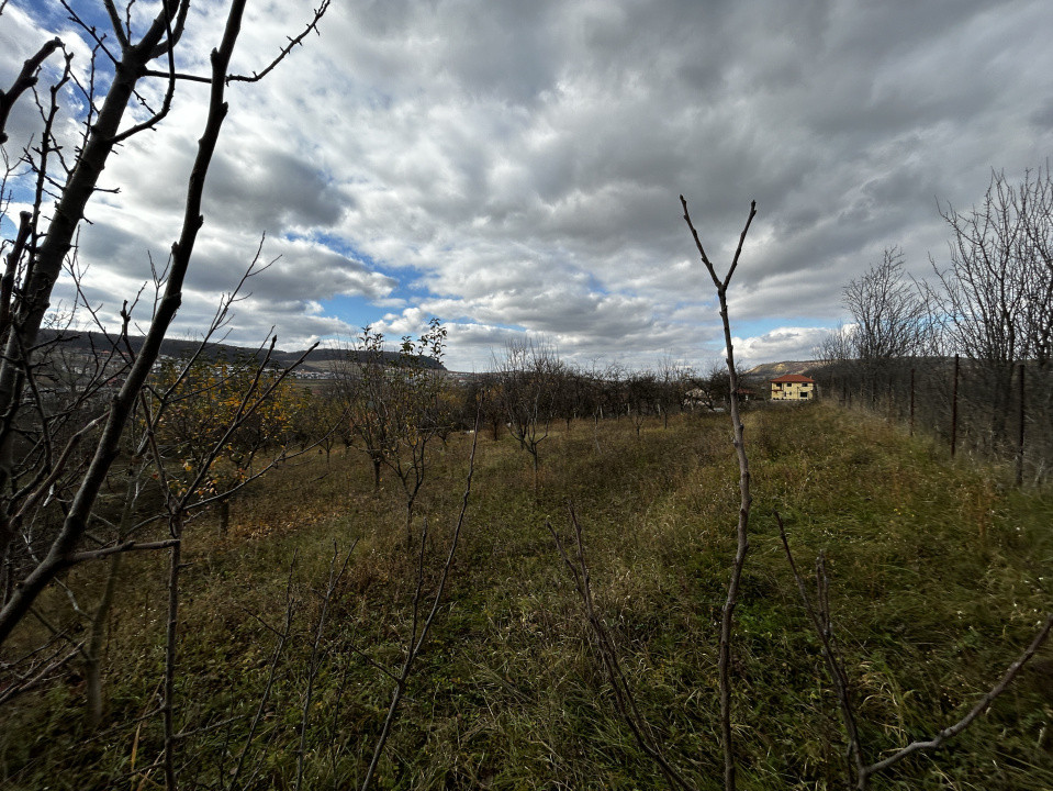 Teren intravilan în Chinteni 1.250mp pentru case sau Duplex 