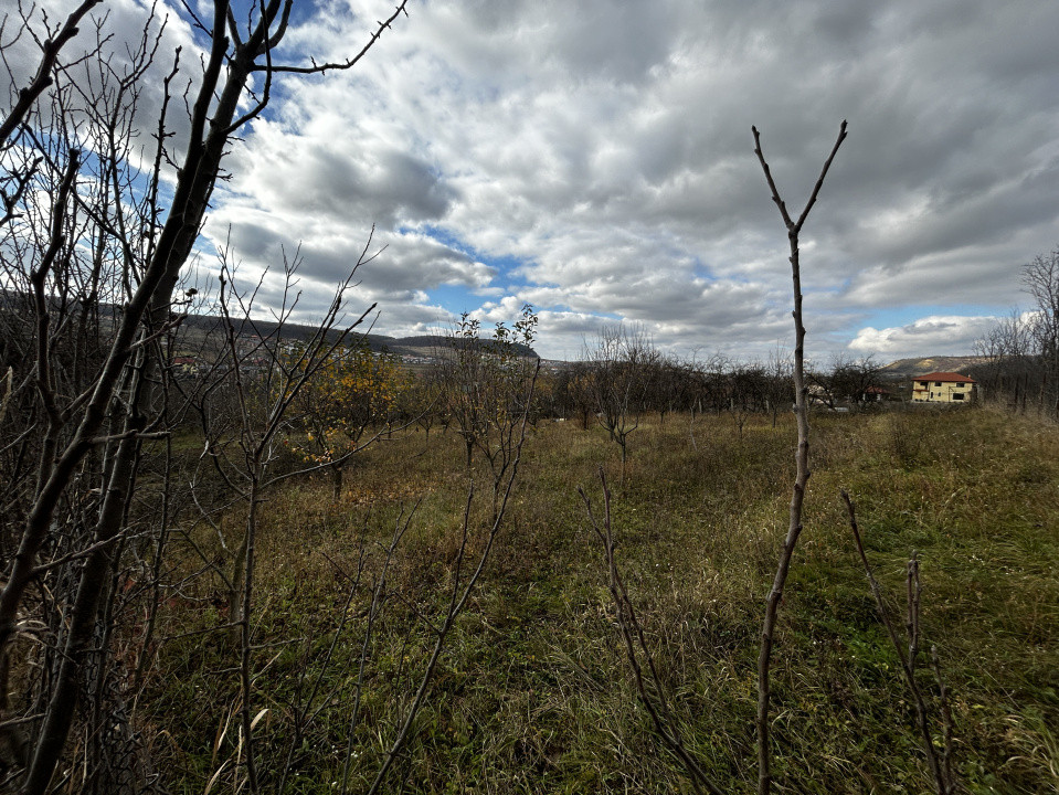 Teren intravilan în Chinteni 1.250mp pentru case sau Duplex 