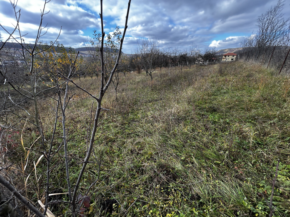 Teren intravilan în Chinteni 1.250mp pentru case sau Duplex 