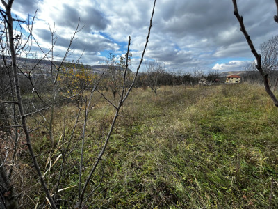 Teren intravilan în Chinteni 1.250mp pentru case sau Duplex 