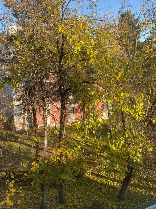 Apartament 2 camere Gheorgheni, etaj intermediar 